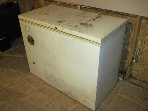 freezer old