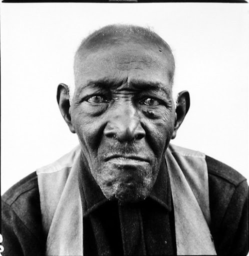 avedon