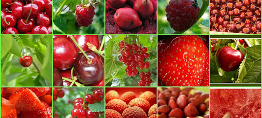 red berries