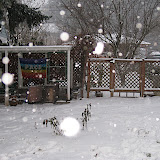 IMG_3650.JPG