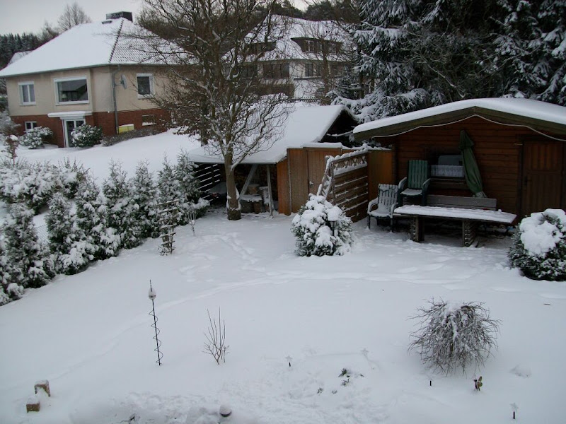 100_1155.JPG