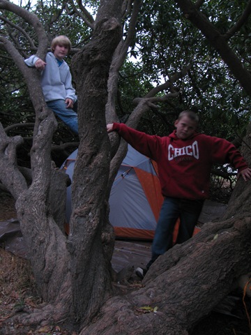 [IMG_89964.jpg]