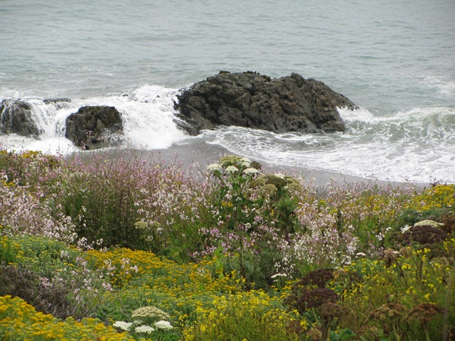 [IMG_88264.jpg]