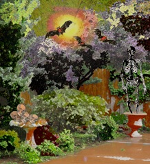 [backyard4.jpg]
