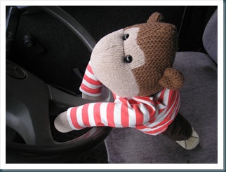 Mrs C's monkey takes to the wheel