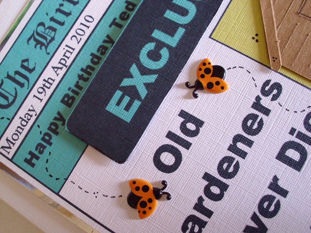 [Ladybirds on gardening Card[5].jpg]