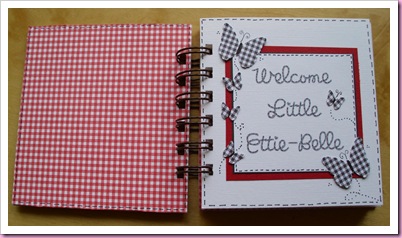 Gingham Mini baby Book