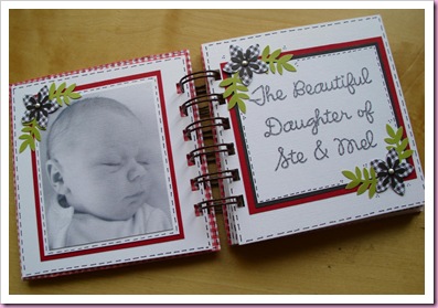 Gingham Mini Baby Book 2