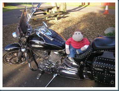 Monkey on a motorbike