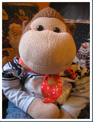 Monkey with scarf