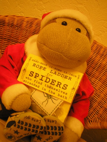 [monkey with spider ladder[4].jpg]
