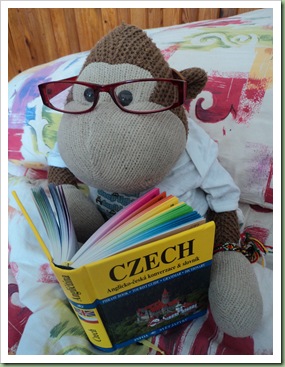 Studying Czech Language Studying Czech Language