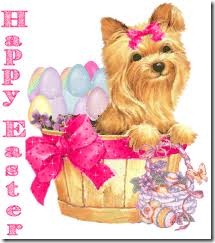 yorkie easter