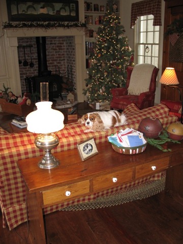 [Peggy's Fireplace & Bailey[2].jpg]