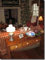 Peggy's Fireplace & Bailey