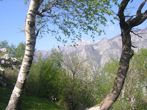 Picasa Photo