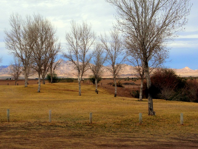 [P1180041[2].jpg]