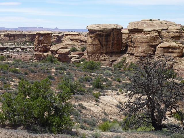 [P1000972[2].jpg]