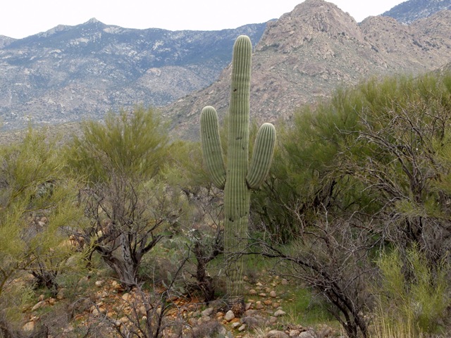 [P2230301[2].jpg]