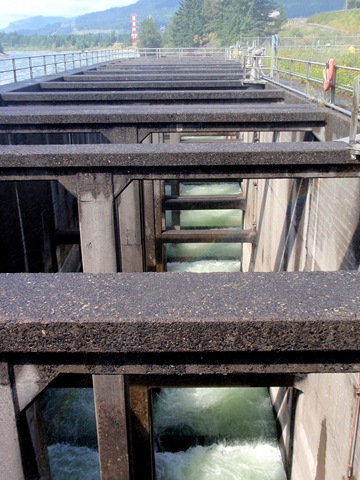 [P8130040[2].jpg]