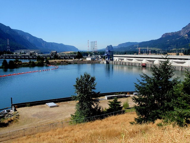 [P8270054[2].jpg]