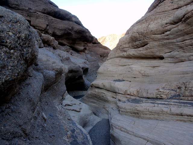 [PC2400042.jpg]