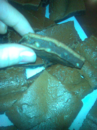 20100114_001.jpg