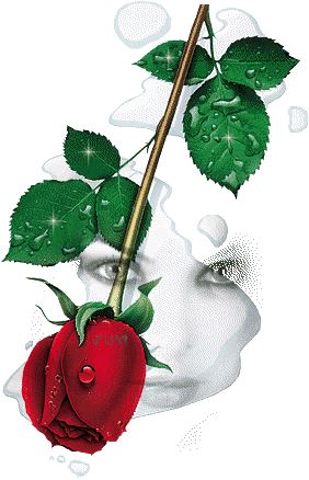 [rosas (5)[2].gif]