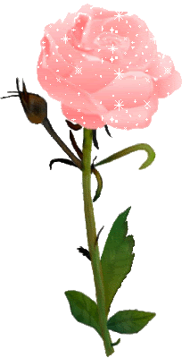 [rosas (18)[2].gif]