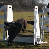 Training 7th March 2010