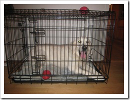 IMG_3380 IMG_3380