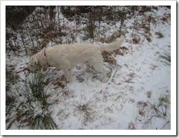 IMG_3423 IMG_3423