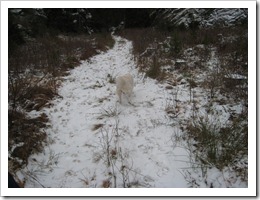 IMG_3425 IMG_3425