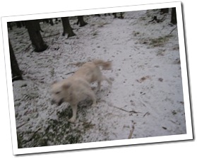 IMG_3431 IMG_3431