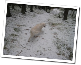 IMG_3434 IMG_3434