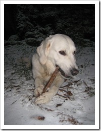 IMG_3446 IMG_3446