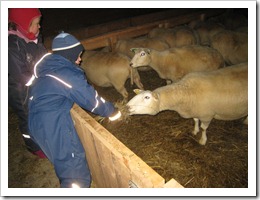 IMG_3479 IMG_3479