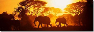 Africa_1 Africa_1