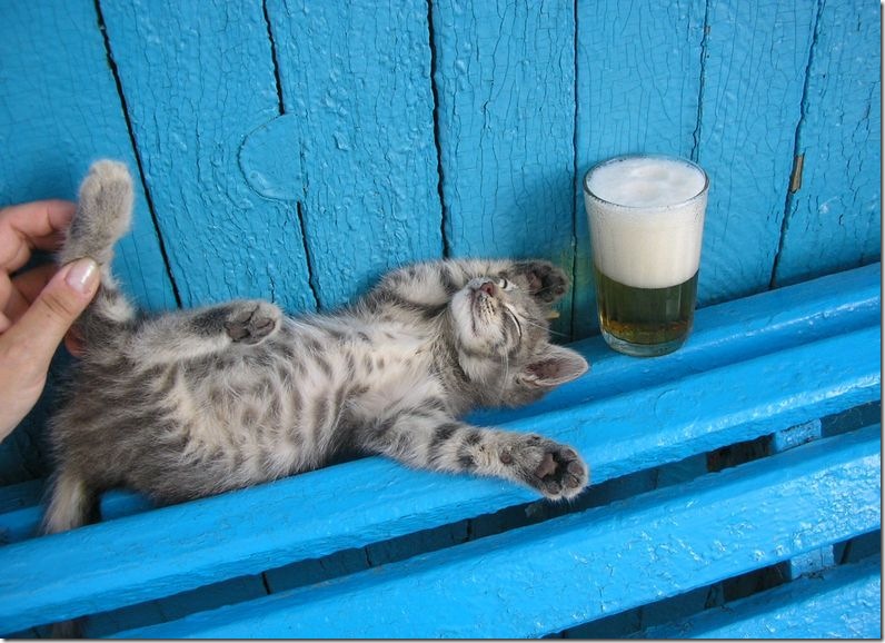 Over Drinker