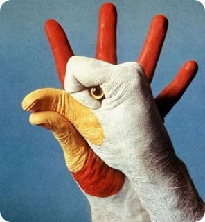 White chicken art in two Hand White chicken art in two Hand