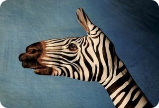 Zebra Head Art In Hand