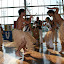 Milani_20080928_0993.JPG