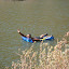 Milani_1029.JPG