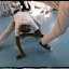 JoaoGrande dando aula 2.jpg