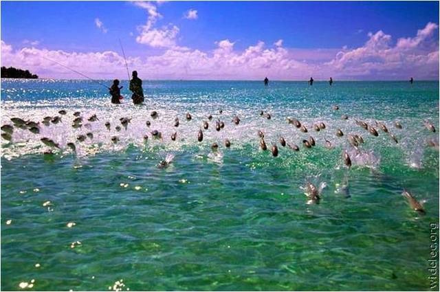 [clip_image012[4].jpg]