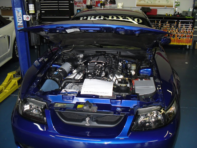 SDC11019.JPG