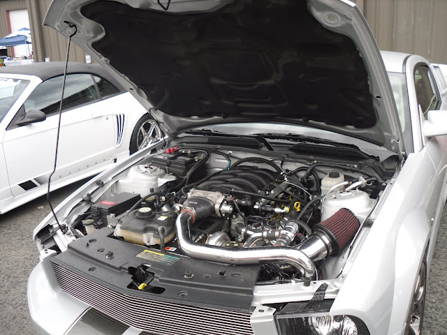 SDC11035.JPG