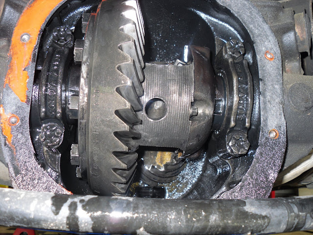 SDC11183.JPG