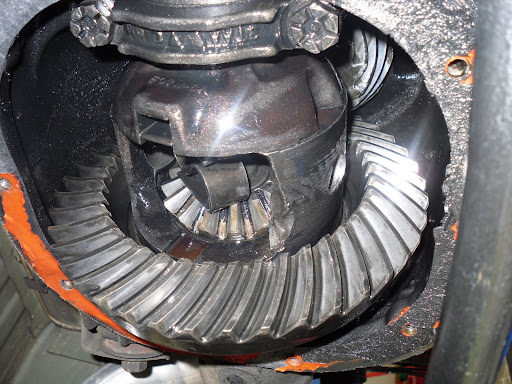 SDC11187.JPG