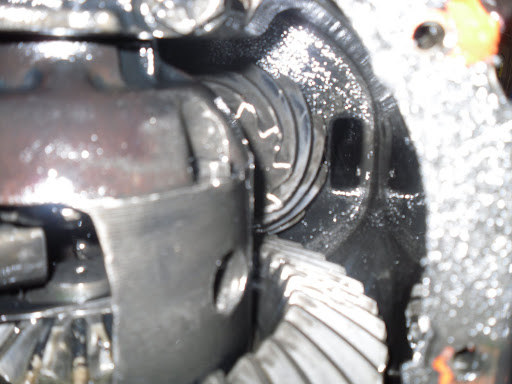 SDC11190.JPG